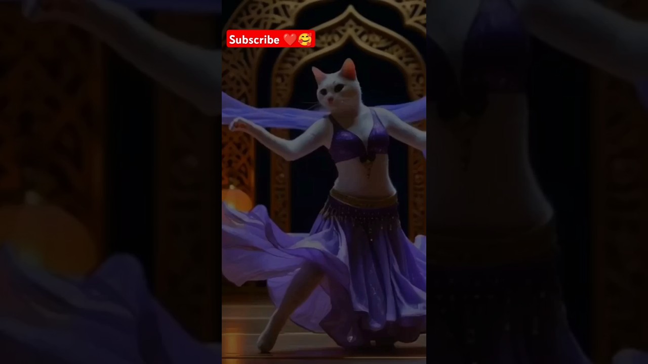 Cute Cat Dancing video 😻😍