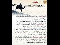 علمتني الهجرة النبوية
