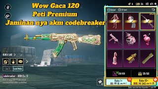 WOW GACA 120 PETI PREMIUM PUBG DAPAT AKM UPGRADE