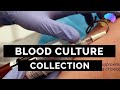 Blood culture collection  osce guide  ukmla  cpsa