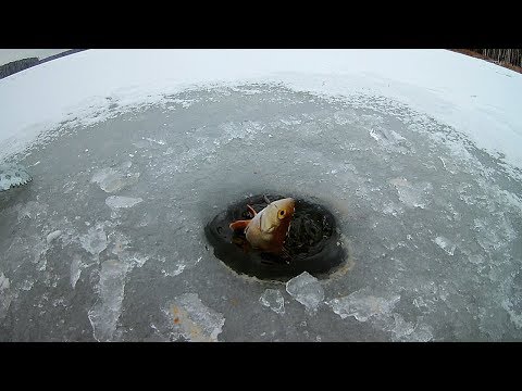 #16 Плотва, окунь, подлещик. Первый лед v 2.0. Белоярское водохранилище 2017-2018