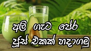 Avocado jusice ammai mamai srilankan fruit juice   අලි ගැට පේර ජූස් how to make avocado  juice