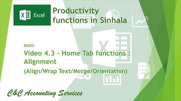 MS Excel - in Sinhala - Video 4.3 -  Home Tab Functions : Alignment (Basic)