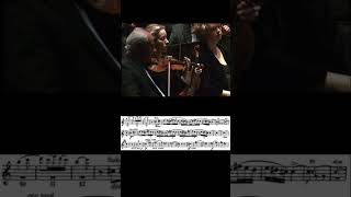 Scheherazade, Op.35 (Rimsky-Korsakov) - French horn - solo - sheet music