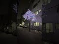 5.5m RGBW Maple Tree Light 7 Color Changing Effects | Ultra-Realistic Bark Texture #lightingdesign