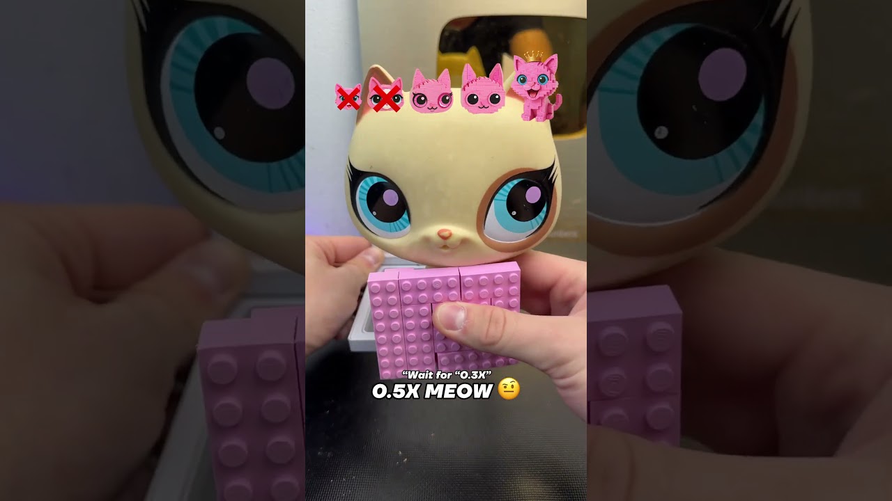 Will I find the cat that fits? 🤔