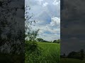 agriculture street In tamilnadu | Village Best place