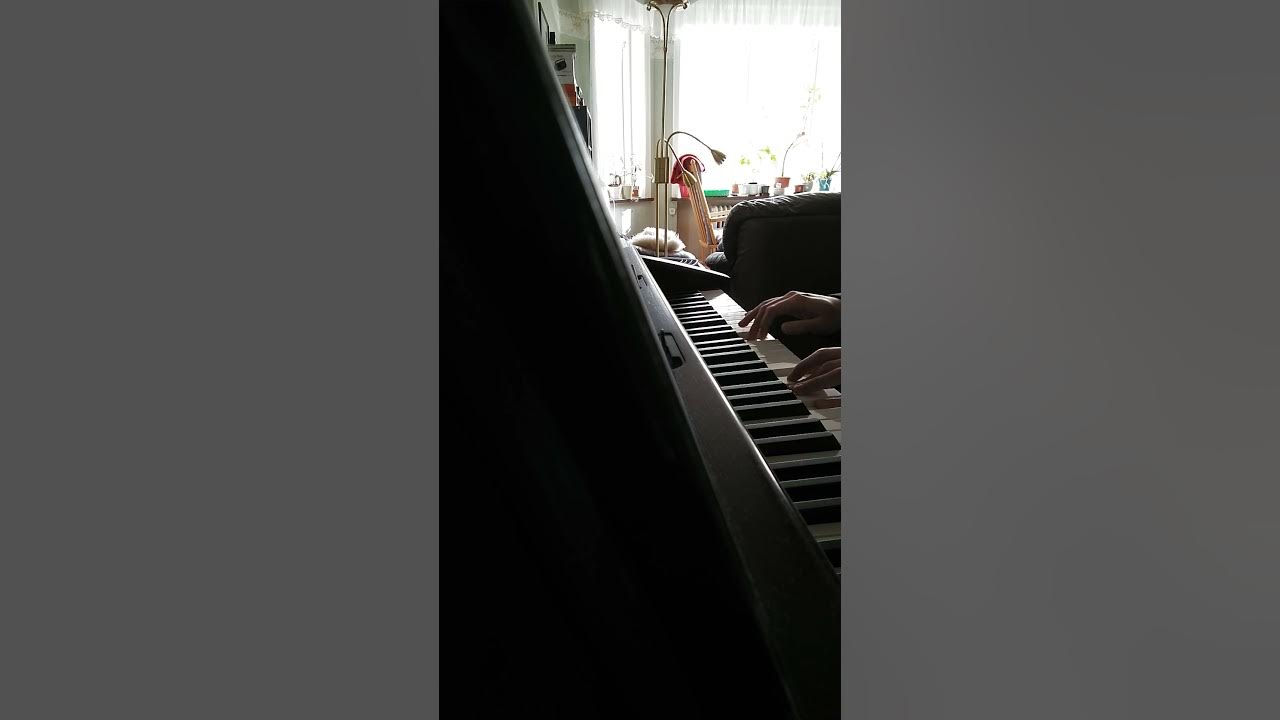 друзья пианино