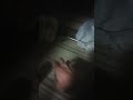深夜帰宅即ストゼロRTA