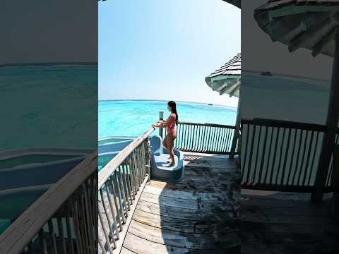 Imagine being here
