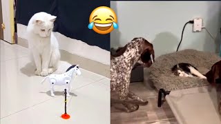 The Ultimate Compilation of Funny Cats & Dogs🐶😹 2024 Edition💥