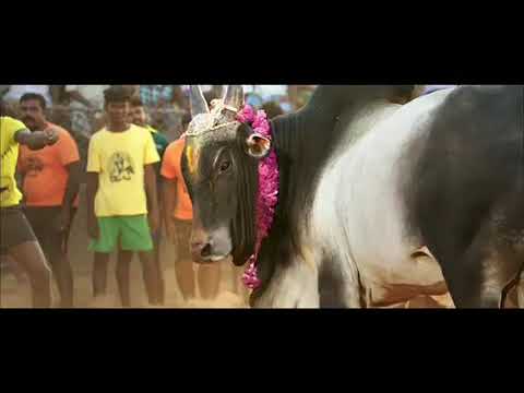 vijay-sethupathy-in-karuppan-movie-official-trailer-hd1080p