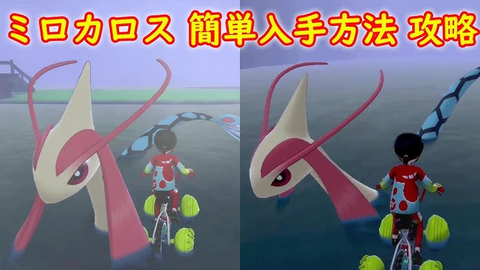 ミロカロス 簡単入手方法 攻略 ポケモン ソード シールド ポケモン剣盾 Youtube