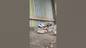 WPL C24-1 laying it down get it up flex