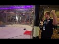 Fight 2 Mini Defiant VS Target Audience