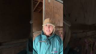 HOW HORSES LEARN 101: NON ASSOCIATIVE LEARNING