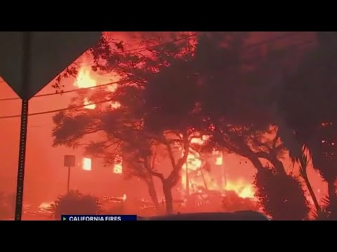 LA wildfires: Recovery efforts two months later
