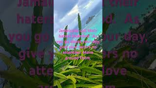 Hello badmind….good morning!#haters #badmind #jamaica