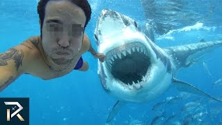 10 Viral Videos You Didnt Know Were Fake