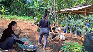 Suasana Pedesaan Sederhana Tapi Nikmat Bikin Bakwan Sayur Sambal Petis Dadakan