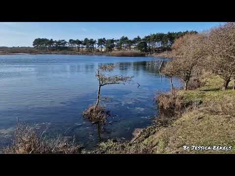 Nationaal park Zuid Kennemerland - Wandeling Station Overveen naar Bloemendaal aan Zee.