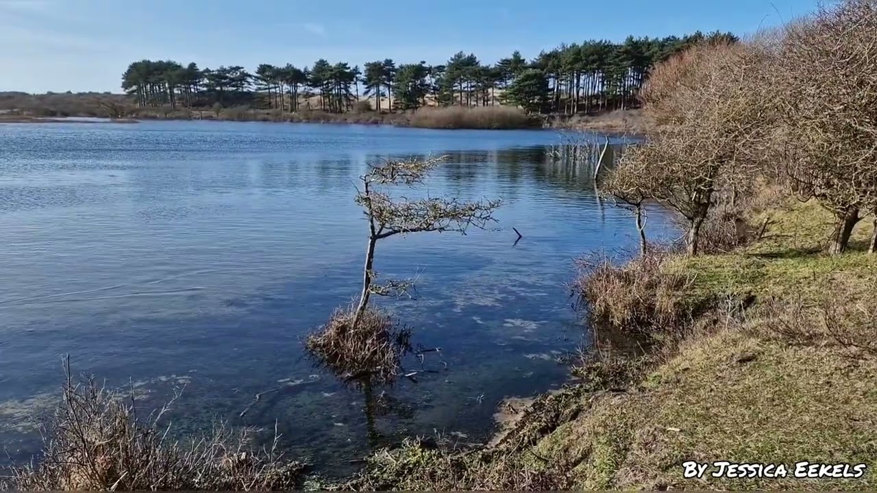 Nationaal park Zuid Kennemerland - Wandeling Station Overveen naar Bloemendaal aan Zee.
