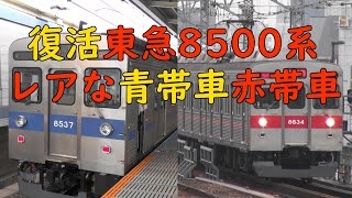 復活東急8500系レアな青帯車赤帯車