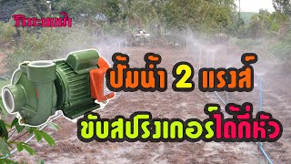 ปั้ม 2 แรงส์ จะสามารถขับหัวปริงเกอร์ได้กี่ตัวพร้อมๆกัน? | วิถีไทบ้าน