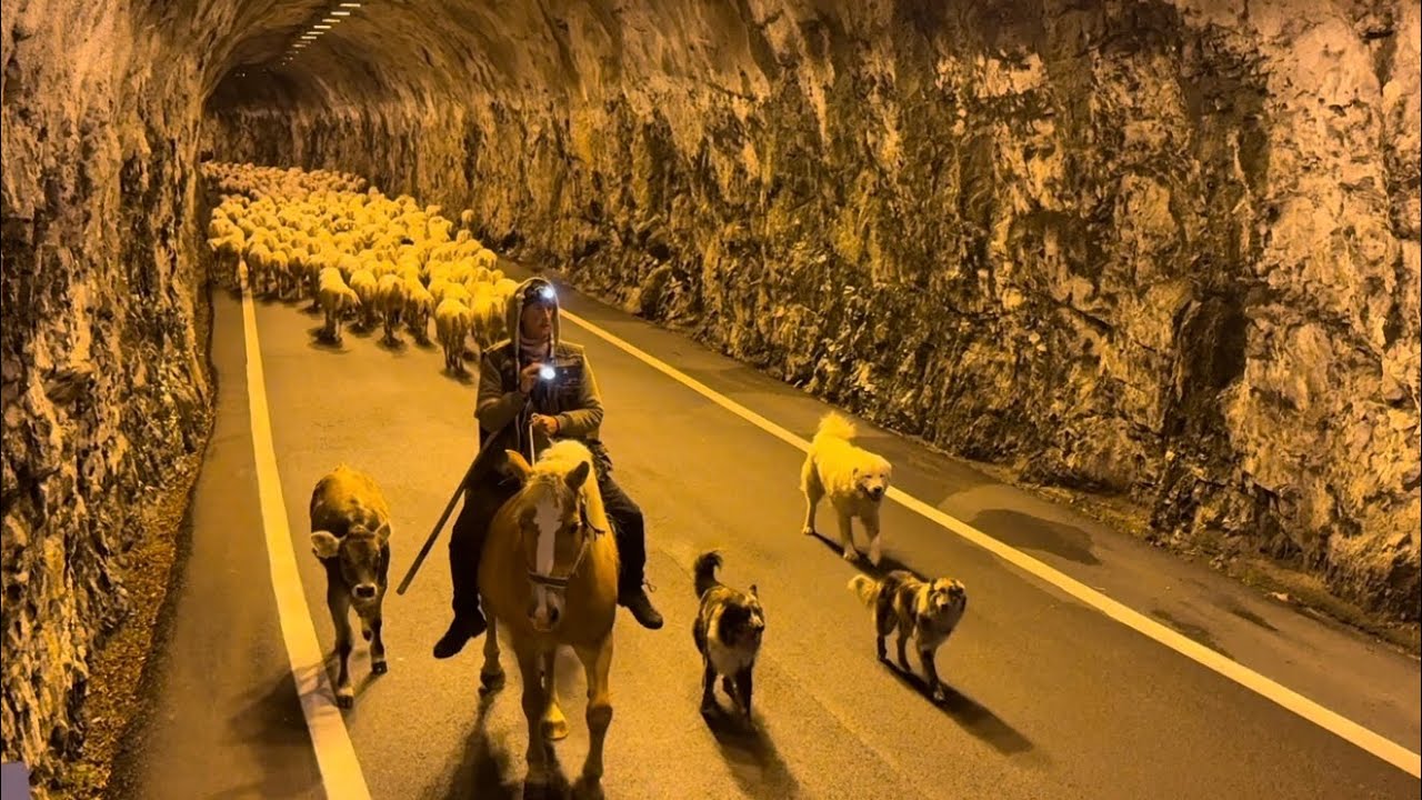 Attraversamento Galleria Diga del Vajont