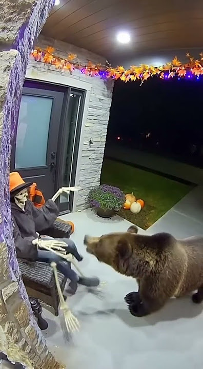 Animatronic Skeleton Pranks a Real Bear on Security Cam