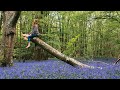 ENCHANTED BLUEBELL FOREST | slow living in the British countryside