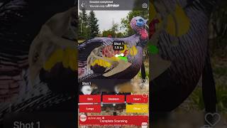 Broadside turkey — are you aiming where you think you are? 🦃