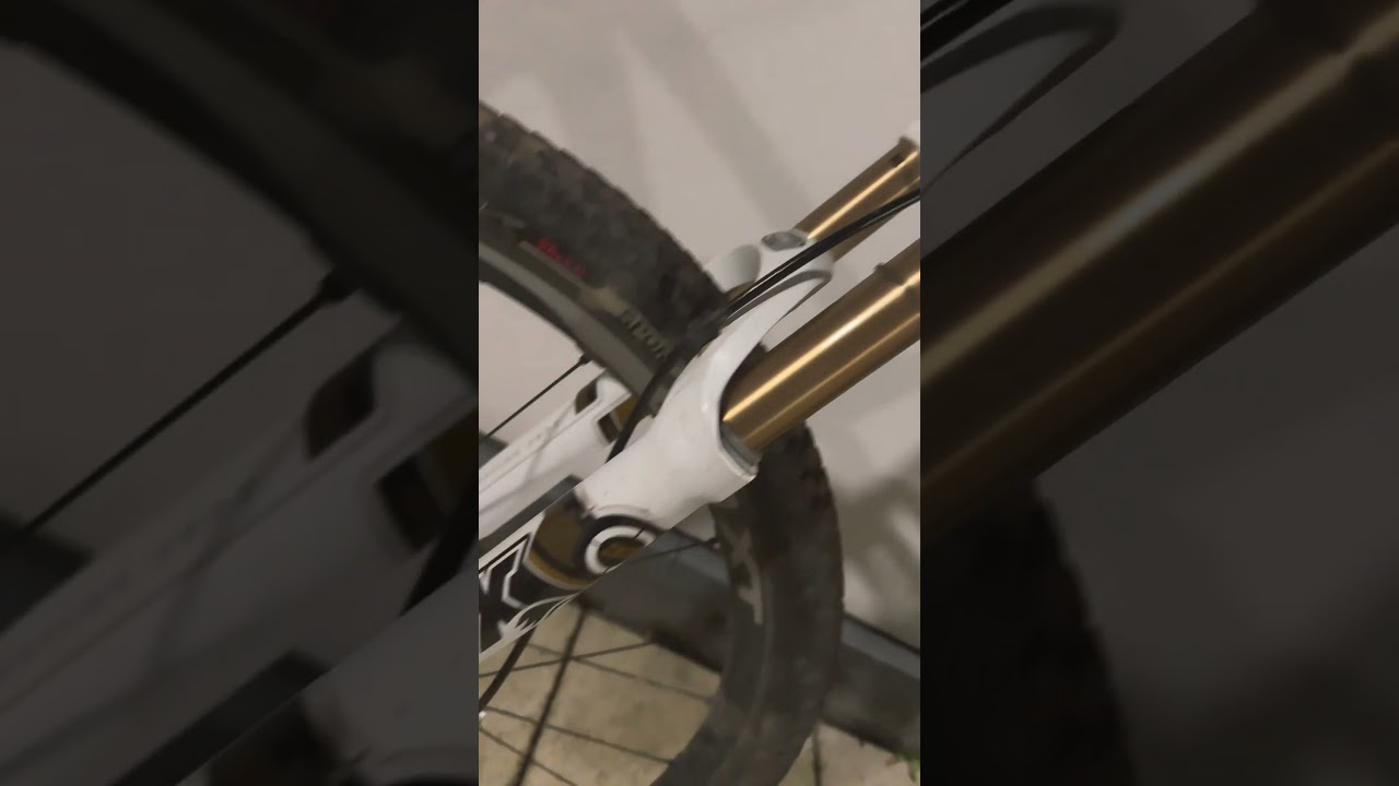 Lapierre zesty 514 showcase with fox’s