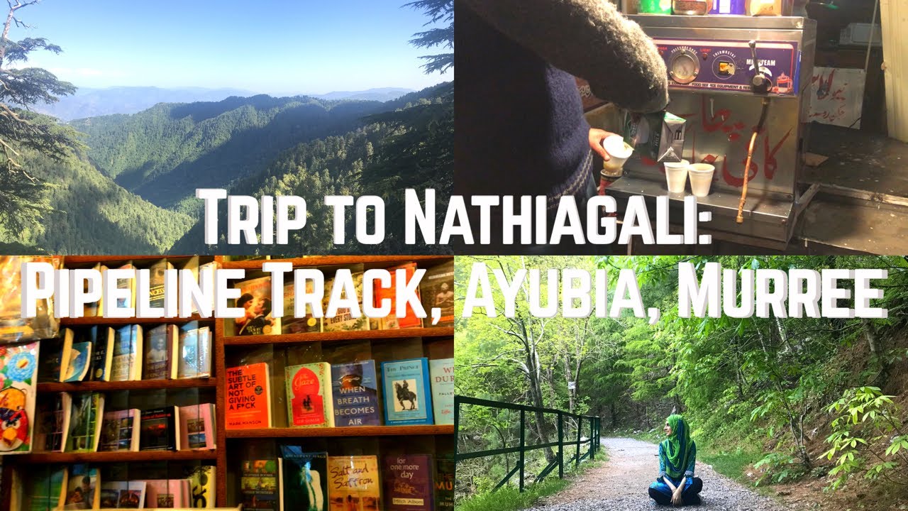 hiking-in-nathiagali-pakistan-pipeline-track-ayubia-murree-youtube