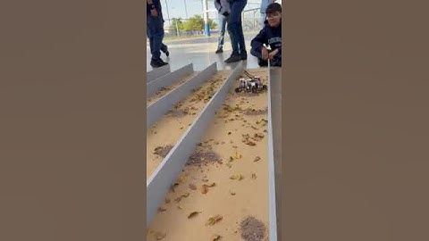 Carrera de insectos #robotics #engineering #ingenieria #drone #arduino