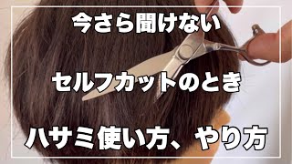 現役美容師が検証してみた ダイソーとセリアの散髪ハサミについて検証してみた Tomoo Ono Com