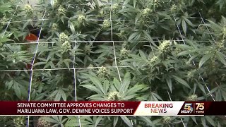 Senate Committee approves changes to marijuana law, Gov. DeWine voices support