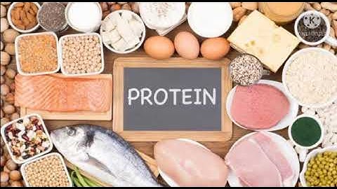 MLZS JHANSI CLASS 3 EVS Chapter 4 Food and Balanced Diet Lecture 1