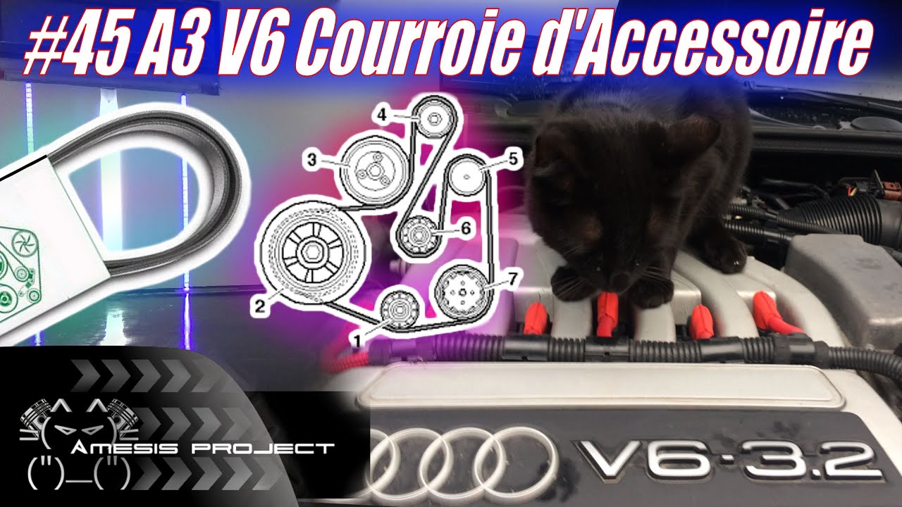 45 Dépose Repose Courroie d'Accessoire 3.2 V6 A3 & R32 