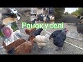 Ранок у селі.Кукурудза не  зійшла, садимо знову.