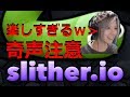 奇声/音量注意≪顔出し≫ストリーマーの日常【雑談枠】slither.io【スリザリオ】編