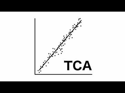 Time Complexity Analyzer (TCA) Tool Demonstration