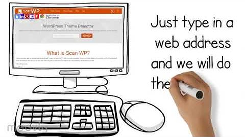 Scan WP - Wordpress Theme and Plugin Detector