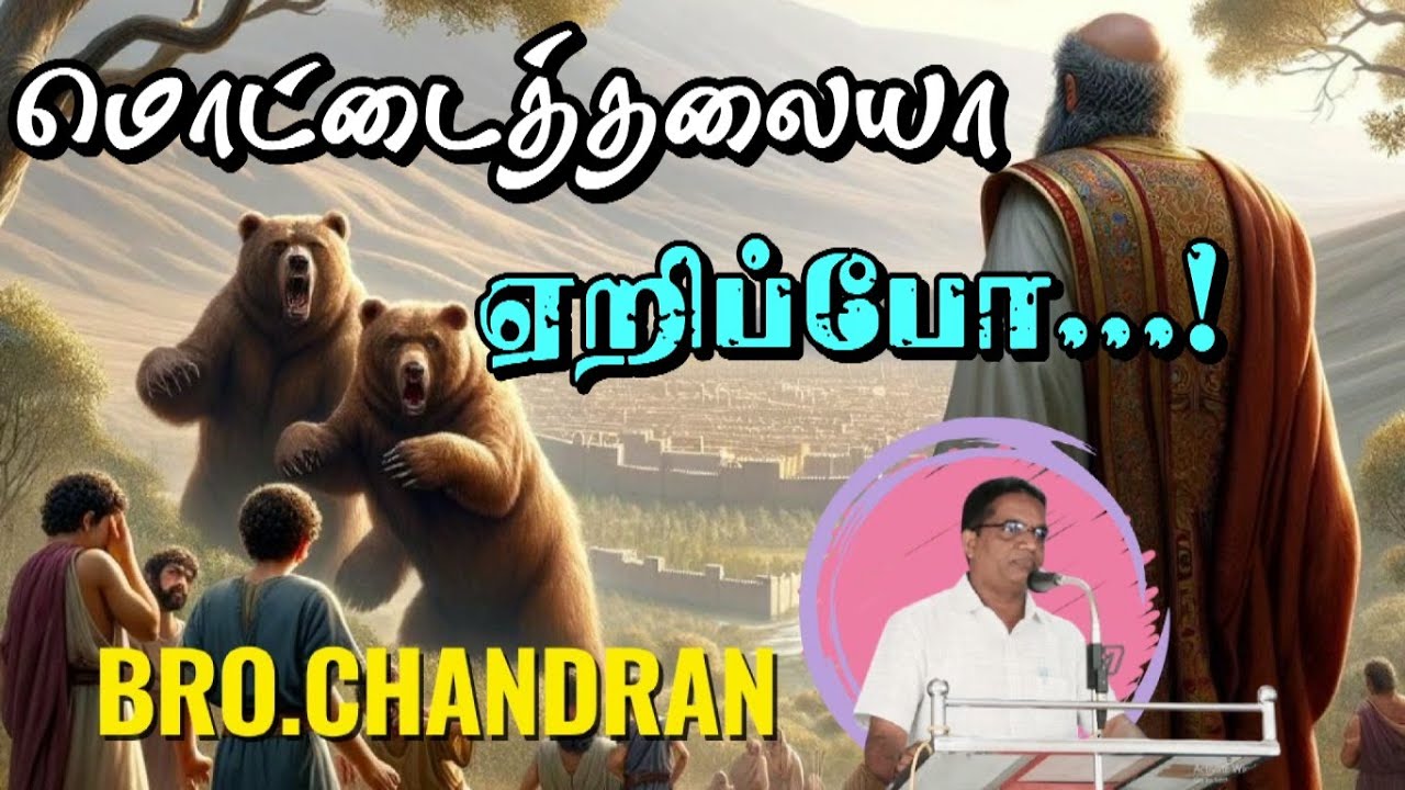 மொட்டைத்தலையா ஏறிப்போ - BALM HEAD