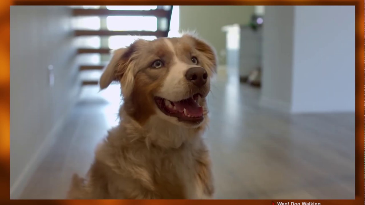 HFCast Ep134 - Galaxy’s Edge, AI Superpowers, and Performance Tracking