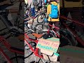 Recent Ice Protests in Fort Collins, Colorado, Following the Death of Alex Pretti