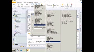 Dynamics CRM 2011 - Conditional Formatting