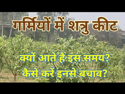 वीडियो: पौधों की रक्षा कैसे करें