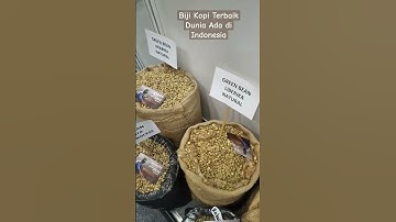Biji Kopi Terbaik di Dunia Ada di Indonesia