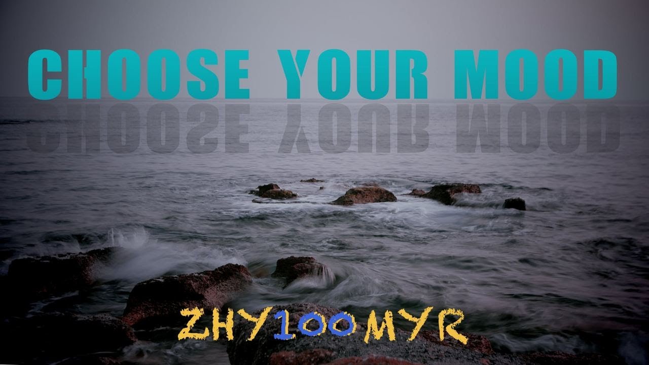 ZHY100MYR & Andreii Moiseii - Choose your mood